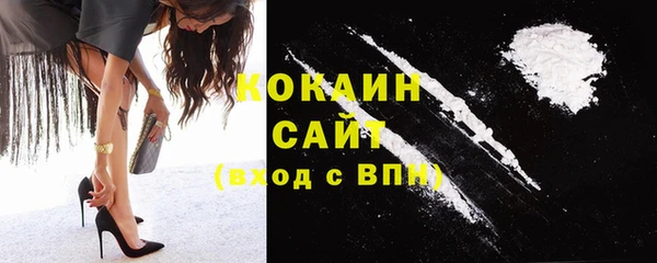 молекула духа Костерёво