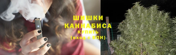 гашик Корсаков