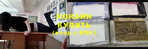 гашик Корсаков