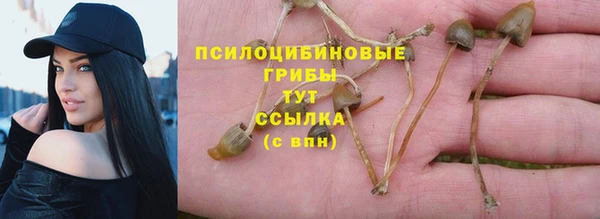 гашик Корсаков