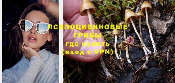 молекула духа Костерёво