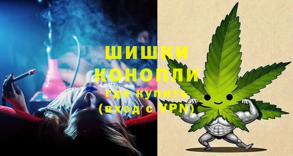 гашик Корсаков