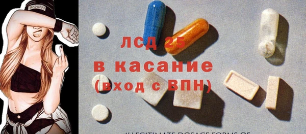 гашик Корсаков
