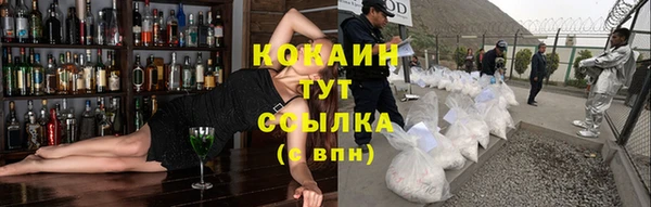 гашик Корсаков