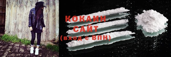 гашик Корсаков