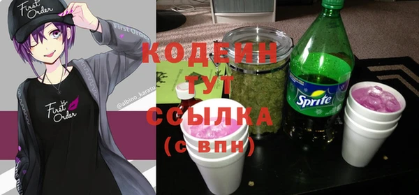 молекула духа Костерёво